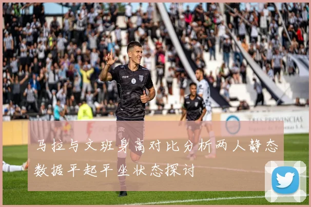 马拉与文班身高对比分析两人静态数据平起平坐状态探讨